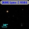 [K80] Lynx-2  8501