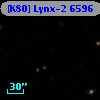[K80] Lynx-2  6596