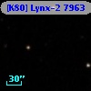 [K80] Lynx-2  7963