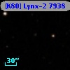 [K80] Lynx-2  7938