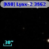 [K80] Lynx-2  3862
