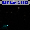 [K80] Lynx-2  8592
