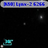 [K80] Lynx-2  6266