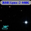 [K80] Lynx-2  4406