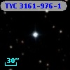 TYC 3161-976-1