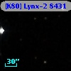 [K80] Lynx-2  8431