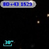 BD+43  1829