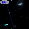 SP82 42