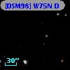 [DSM98] W75N D