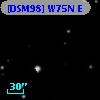 [DSM98] W75N E