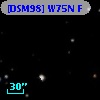 [DSM98] W75N F