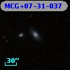 MCG+07-31-037