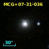 MCG+07-31-036