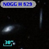NOGG H  829