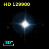 HD 129900