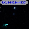 RX J1442.0+4337