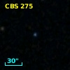 CBS 275