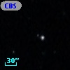 CBS 195