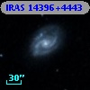 IRAS 14396+4443