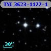 TYC 3623-1177-1