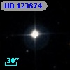 HD 123874