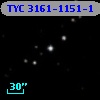 TYC 3161-1151-1