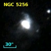 NGC  5256