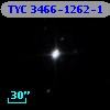 TYC 3466-1262-1