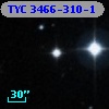 TYC 3466-310-1