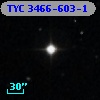 TYC 3466-603-1