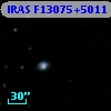 IRAS F13075+5011