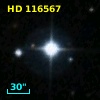 HD 116567