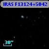 IRAS F13124+5042