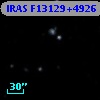 IRAS F13129+4926