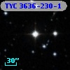 TYC 3636-230-1