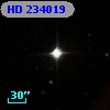 HD 234019