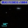 IRAS F13031+5004