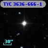 TYC 3636-666-1