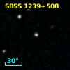 SBSS 1239+508