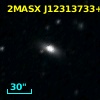 2MASX J12313733+5042169