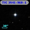 TYC 3841-960-1