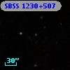 SBSS 1230+507