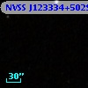 NVSS J123334+502927