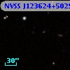 NVSS J123624+502906