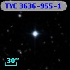 TYC 3636-955-1