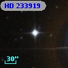 HD 233919