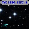 TYC 3636-1257-1