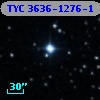 TYC 3636-1276-1