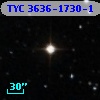 TYC 3636-1730-1