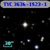 TYC 3636-1823-1